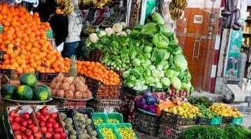 أسعار الفاكهة بأسواق مطروح اليوم الأحد 15-6-2025