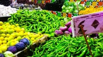 أسعار الخضروات اليوم الخميس 19 يونيو 2025.. الطماطم بـ12 جنيها
