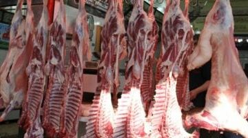 أسعار اللحوم والدواجن والأسماك اليوم الخميس 5-6-2025 في سوهاج