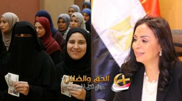 معاش التأمينات للسيدات يوفرلك دخل وأمان من غير وظيفة كيف تحصلين عليه؟