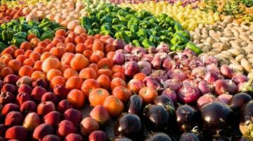 البطاطس الأعلى 16 ألف طن.. ننشر حجم صادرات مصر من الخضراوات