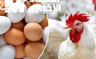 جهّز ثلاجتك.. أسعار البيض اليوم السبت 14/6/2025