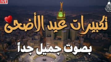 تردد قناة الحج السعودية 2025 على نايل سات وعرب سات لعيد الأضحى
