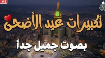 تردد قناة الحج السعودية 2025 على نايل سات وعرب سات لعيد الأضحى