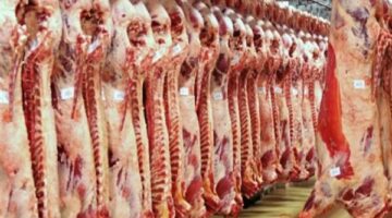 أسعار اللحوم مساء اليوم السبت 7-6-2025