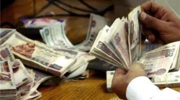 صرف 1500 جنيه لتلك الفئات كمنحه بمناسبه المولد النبوى الشريف