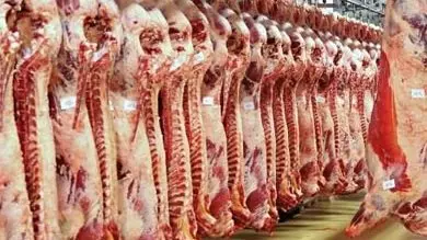 استقرار أسعار اللحوم البلدية والمستوردة في الأسواق اليوم