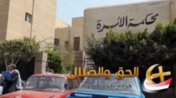 سيدة تطلب الخلع بعد 16 سنة زواج لسبب غير متوقع وما قالته إمام محكمة الأسرة أذهل الجميع