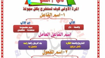 الثانوية العامة 2025.. زيتونة النحو في 9 ورقات.. أوعى تضيعها