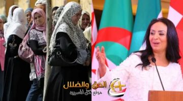 معاش شهري للسيدات في مصر بدون شغل ولا تأمين سابق – اعرفي الخطوات قبل ما يفوتك