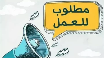وظائف وزارة العمل.. ما هي الشروط المطلوب للتقديم؟