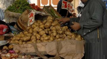 أسعار الخضراوات اليوم الثلاثاء | الحق والضلال