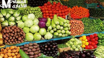 جولة خفيفة.. أسعار الخضار والفواكه اليوم الأربعاء 11/6/2025