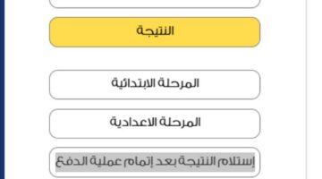 ادفع أولاً| ظهور نتيجة صفوف النقل بالقاهرة “بفلوس” على بوابة التعليم الأساسي