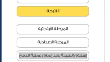 ادفع أولاً| ظهور نتيجة صفوف النقل بالقاهرة “بفلوس” على بوابة التعليم الأساسي