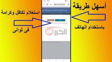 مُـتـاح.. استعلام تكافل وكرامة بالرقم القومي 2025 عبر موقع وزارة التضامن الاجتماعي