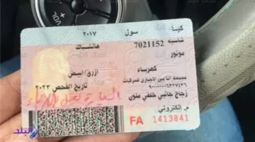 مواصفات سيارات كيا المستوردة | الحق والضلال