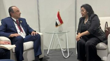 مبادرات مشتركة لتفعيل الشراكة المصرية – الأفريقية