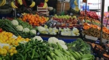 استقرار أسعار الخضراوات والفواكه في مصر اليوم الأحد 15 يونيو 2025