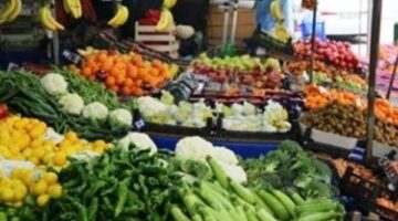 سعر الخضروات والفاكهة مساء اليوم الجمعة 13-6-2025