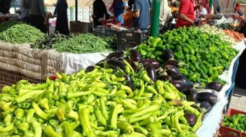 أسعار الخضراوات والفاكهة في الوادي الجديد اليوم الأحد