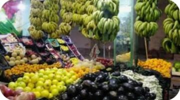 استقرار أسعار الخضروات والفاكهة بأسواق الوادي الجديد