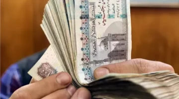 اعرف مستحقاتك … بشرى ساره للعاملين بالقطاع الخاص مكافآت ومعاشات تنتظرك وفقا لقانون العمل الجديد