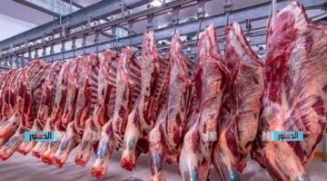 أسعار اللحوم الحمراء اليوم الجمعة 13 يونيو 2025