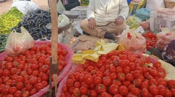 أسعار الخضراوات اليوم الأربعاء 4 يونيو 2025