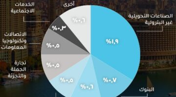 الصناعات التحويلية غير البترولية تتصدر النمو الاقتصادي في مصر بنسبة 1.9% خلال الربع الثالث