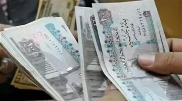 صرف 1500 جنيه منحة عيد الأضحى للعمالة غير المنتظمة.. التسجيل والخطوات