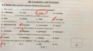 حل امتحان اللغة الإنجليزية 2025 لطلاب الصف الثالث الإعدادي بمحافظة القاهرة