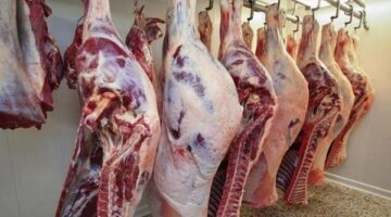 استقرار أسعار اللحوم البلدية والمستوردة في الأسواق اليوم السبت 7 يونيو 2025