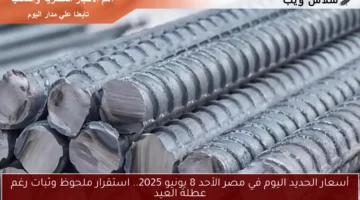 أسعار الحديد اليوم في مصر الأحد 8 يونيو 2025.. استقرار ملحوظ وثبات رغم عطلة العيد
