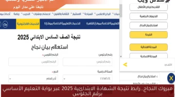 مبروك النجاج..رابط نتيجة الشهادة الابتدائية 2025 عبر بوابة التعليم الأساسي برقم الجلوس