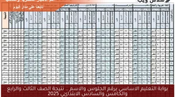 بوابة التعليم الاساسي برقم الجلوس والاسم .. نتيجة الصف الثالث والرابع والخامس والسادس الابتدائي 2025