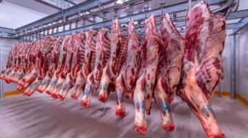الكندوز بـ 420 جنيهًا.. أسعار اللحوم اليوم الثلاثاء 24 – 6 – 2025