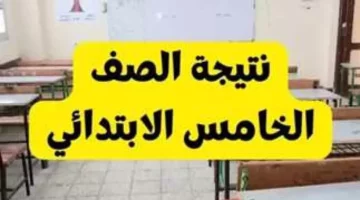 مبروك للناجحين.. نتيجة الصف الخامس الابتدائي بالاسم ورقم الجلوس 2025 عبر بوابة التعليم الاساسي بالجيزة الان gizaedu.net