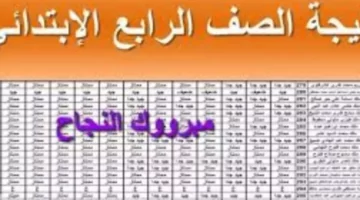 بالاسم فقط.. نتيجة الصف الرابع الابتدائي 2025 الترم الثاني في جميع المحافظات برقم الجلوس عبر بوابة التعليم الأساسي