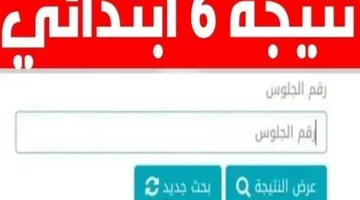 بالاسم وبرقم الجلوس.. بوابة التعليم الاساسي نتيجه الصف السادس الابتدائي 6 الترم الثاني 2025