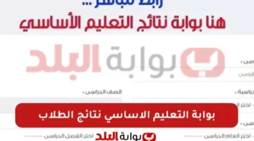 بوابة التعليم الاساسي.. نتيجة 4 و5 و6 ابتدائي و1 و2 اعدادي برقم الجلوس والاسم عبر الموقع الرسمي لنتائج الطلاب