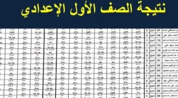 نتيجة الصف الأول الإعدادي 2025 برقم الجلوس او بالاسم عبر بوابة التعليم الأساسي الإلكترونية محافظة القاهرة