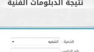 بوابة التعليم الفني.. نتيجة الصف الأول التجاري 2025 الترم الثاني بالاسم ورقم الجلوس nategafany.emis.gov.eg