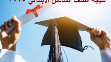 خلال ساعات عبر بوابة التعليم الأساسي نتيجة الصف السادس الابتدائي الترم الثاني 2025