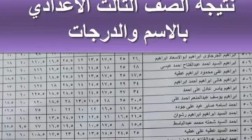 موعد ظهور نتيجة الصف الثالث الإعدادي في محافظة القاهرة 2025 برقم الجلوس او بالاسم عبر بوابة التعليم الأساسي