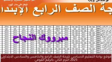 موقع بوابة التعليم الاساسي نتيجة الصف الرابع والخامس والسادس الابتدائي 2025 الترم الثاني بالرقم القومي