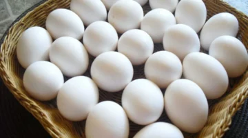 البيض بيتكلم.. أسعار البيض اليوم الجمعة 6/6/2025