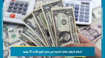 أحدث أسعار الدولار مقابل الجنيه في مصر اليوم الأحد 22 يونيو.. أسعار التداولات الصباحية والمسائية مدعومة بتحديثات البنوك
