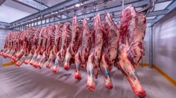 اللحمة على طول.. أسعار اللحوم اليوم الجمعة 6/6/2025
