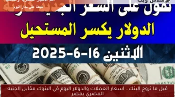 قبل ما تروح البنك.. اسعار العملات والدولار اليوم في البنوك مقابل الجنيه المصري بمصر